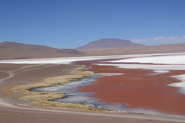 laguna_colorada5