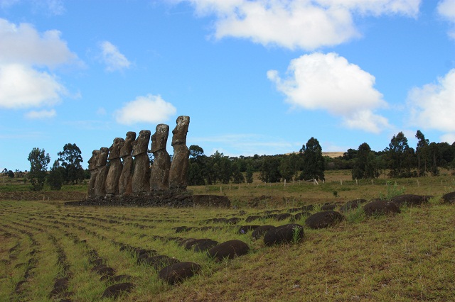 moai1d